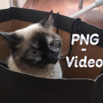 PNG-Video Cult