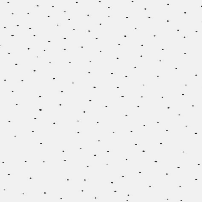 White Background with Black Dots Roblox decal