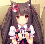 umfii