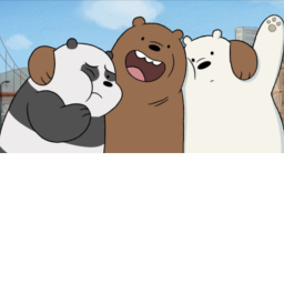 We Bears Admin Place