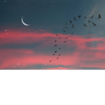 Drip rock $tar$