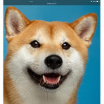 Doge Fan group **