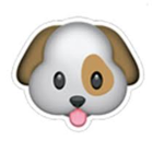 Team dogo