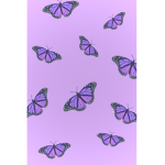 •butterfly’s