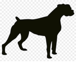 RockDogTech