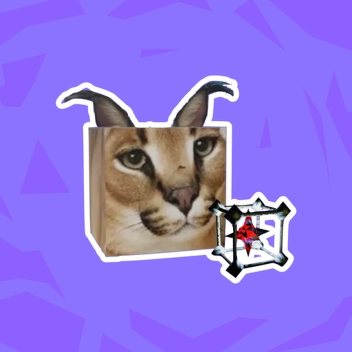 do not the cat