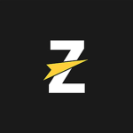 ZS_FLASH