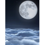 Miidnight