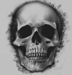 The golden skullcrusher crew