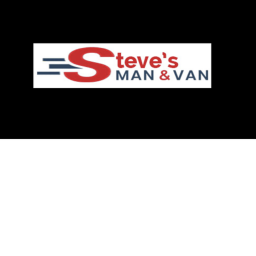 Steve, his man and his van: the game