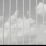 𝐝𝐚𝐧𝐜𝐢𝐧𝐠