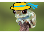 The Frog Liker Group