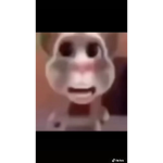 Gabÿ’s sever