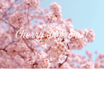 CherryxBlossom Squad!