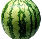 WaterMelon's HQ