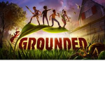 kaikaimul grounded