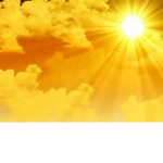 SunShine Squad
