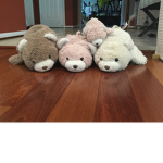 FuzzMasters