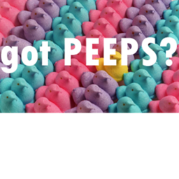 Auditions For Peeps Studios