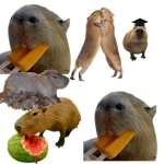 VERY COOL CAPYBARAS