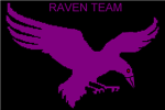 The Raven Team