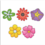 Den smukke tulipan
