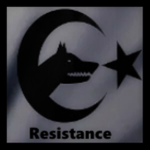The Turan Resistance