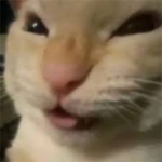 stank3rs