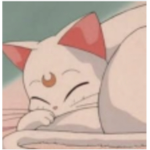 Save cats from rats