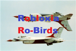 ro-birds by souljaboy125111 and legodog98