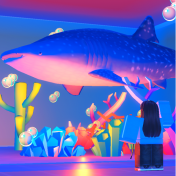 Ocean Conservation Experience