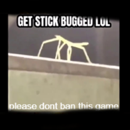GET STICK BUGGED LOL