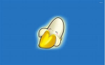 peelyhit_thenoscope