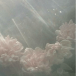 nyx’s greenhouse