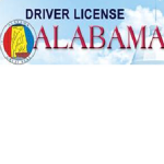 [AL][DL] Alabama Drivers License