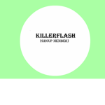 KillerFlash1254