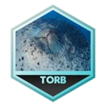 caption=Badge