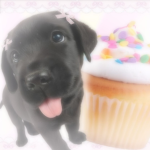 pupcakie