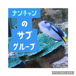 ナンチャンのサブグループ