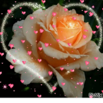 ⊱ Flowers ⊰