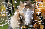 Cat Kids studio