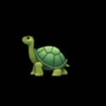 Turtles Universe