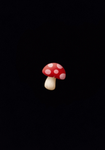 Robux贈送群 台灣