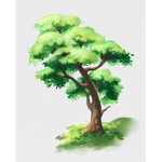 Tree Planting Studios