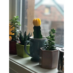 Froggy and friend hangout