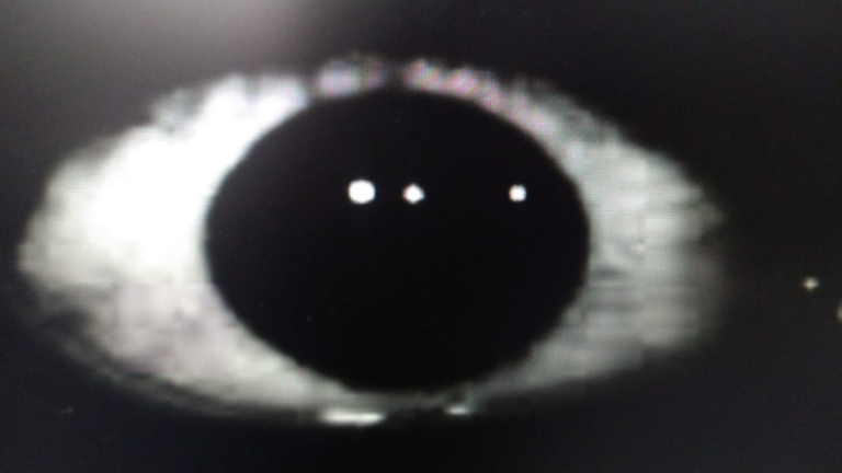 666 ... guest screenshot 1