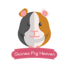 Guineapigs