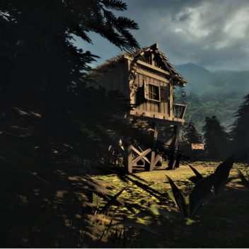 Cabin SHOWCASE