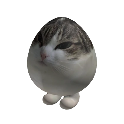 Egg cat hot sale