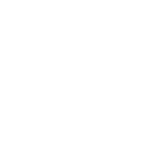 [BLB] Blackbird